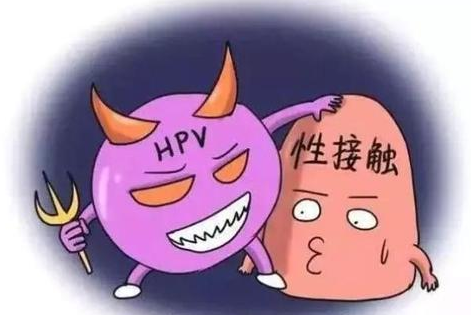 hpv阳性是什么意思?(图1)